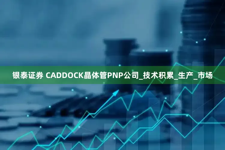 银泰证券 CADDOCK晶体管PNP公司_技术积累_生产_市场