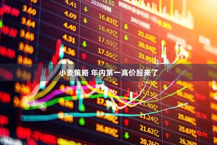 小麦策略 年内第一高价股来了